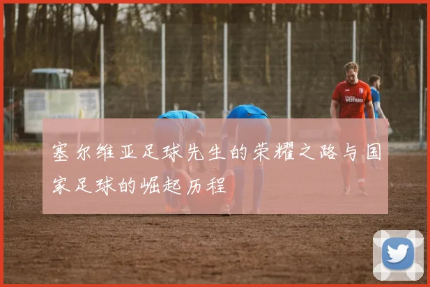 塞尔维亚足球先生的荣耀之路与国家足球的崛起历程